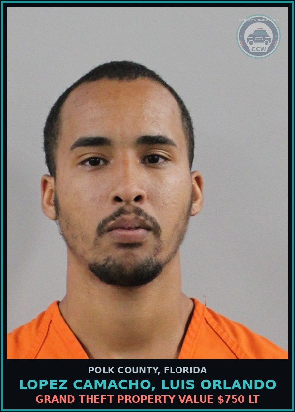 Booking mugshot of LOPEZ CAMACHO, LUIS ORLANDO in Polk County