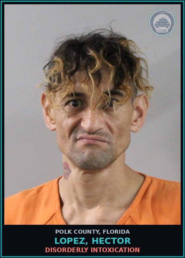 Booking mugshot of LOPEZ, HECTOR in Polk County