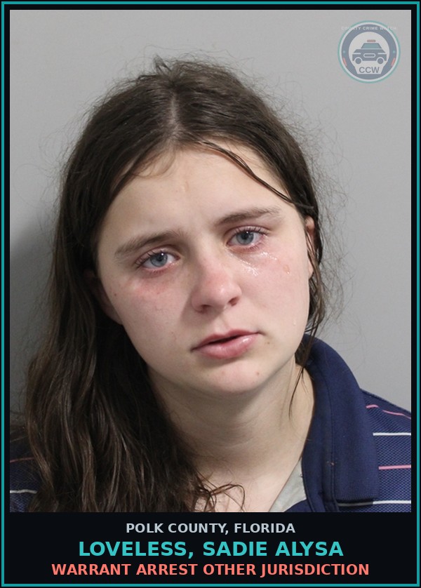 Booking mugshot of LOVELESS, SADIE ALYSA in Polk County