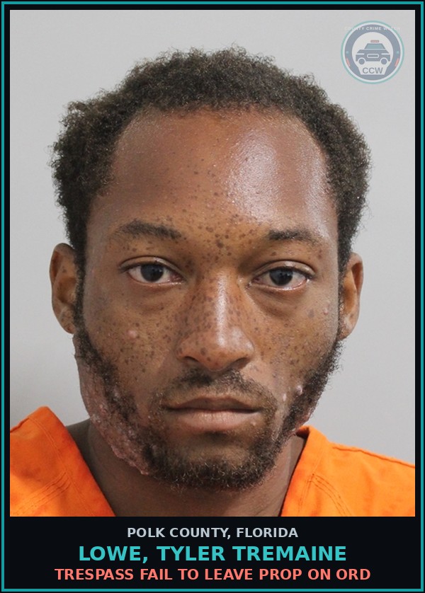 Booking mugshot of LOWE, TYLER TREMAINE in Polk County