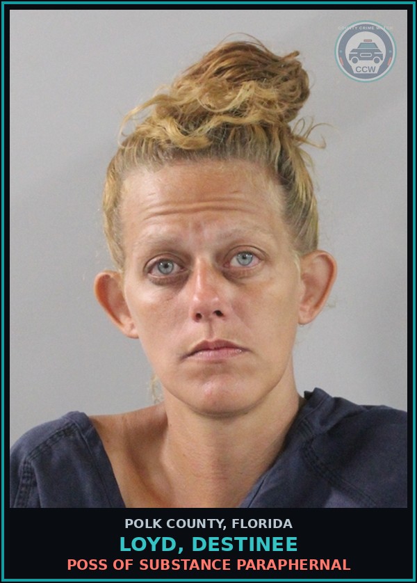 Booking mugshot of LOYD, DESTINEE in Polk County