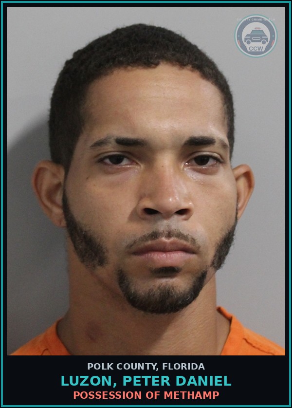 Booking mugshot of LUZON, PETER DANIEL in Polk County