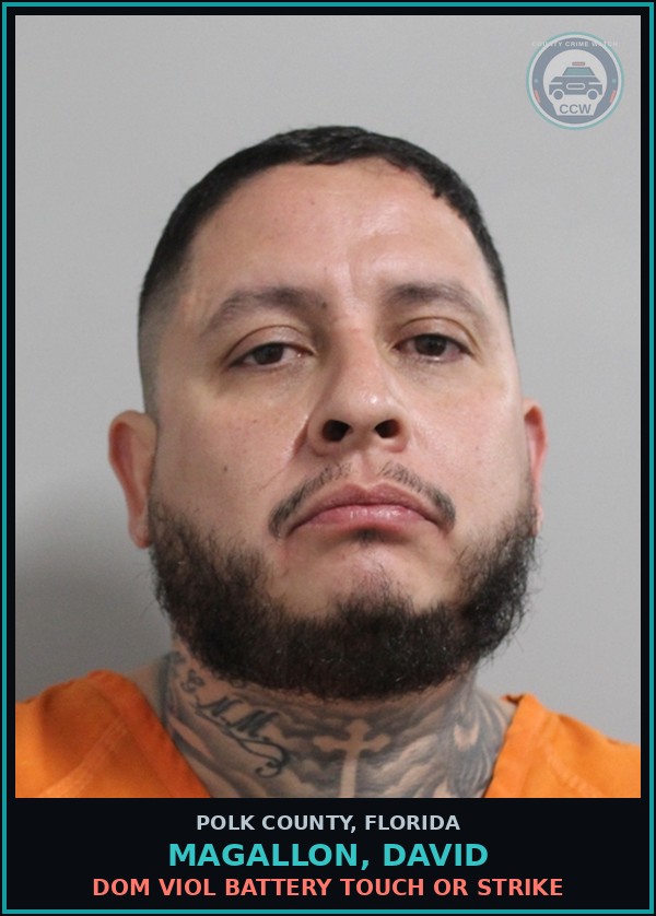 Booking mugshot of MAGALLON, DAVID in Polk County