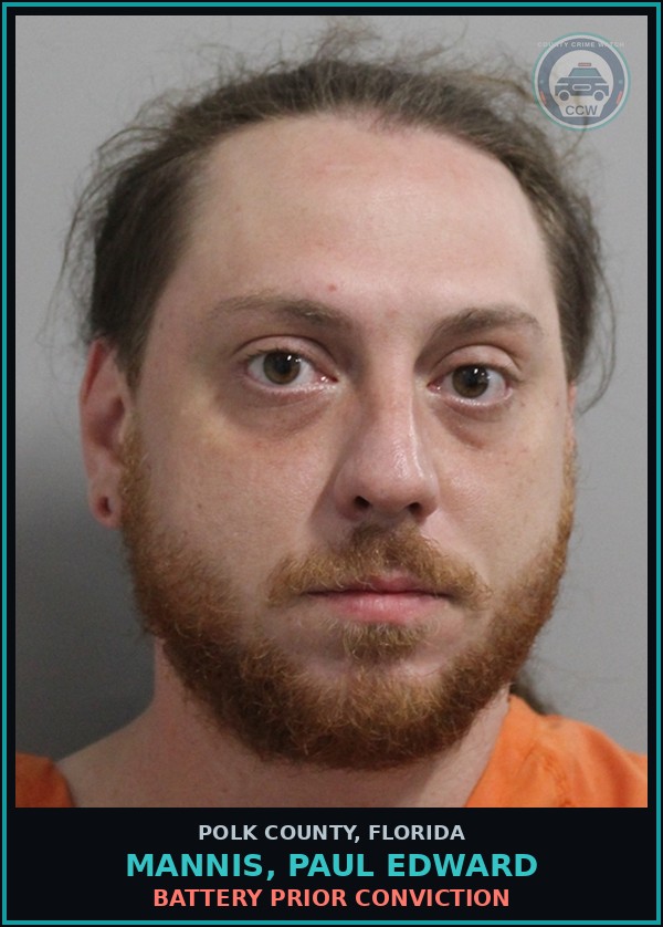 Booking mugshot of MANNIS, PAUL EDWARD in Polk County