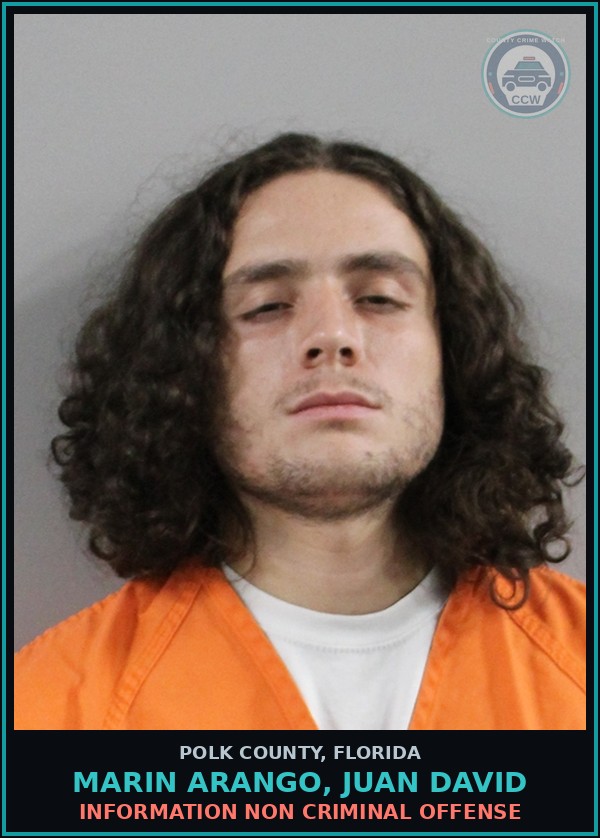 Booking mugshot of MARIN ARANGO, JUAN DAVID in Polk County