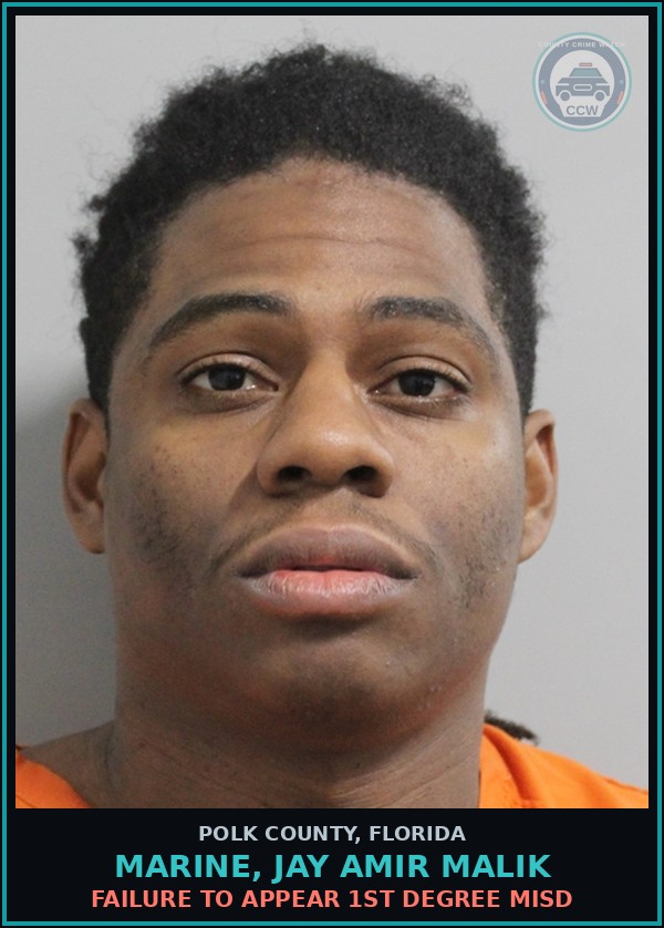 Booking mugshot of MARINE, JAY AMIR MALIK in Polk County