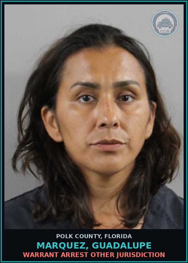 Booking mugshot of MARQUEZ, GUADALUPE in Polk County