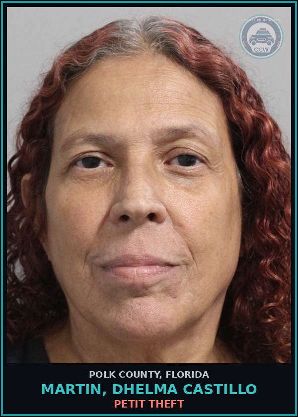Booking mugshot of MARTIN, DHELMA CASTILLO in Polk County