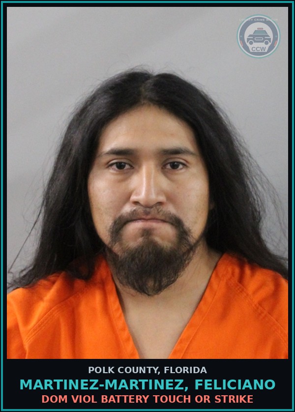 Booking mugshot of MARTINEZ-MARTINEZ, FELICIANO in Polk County