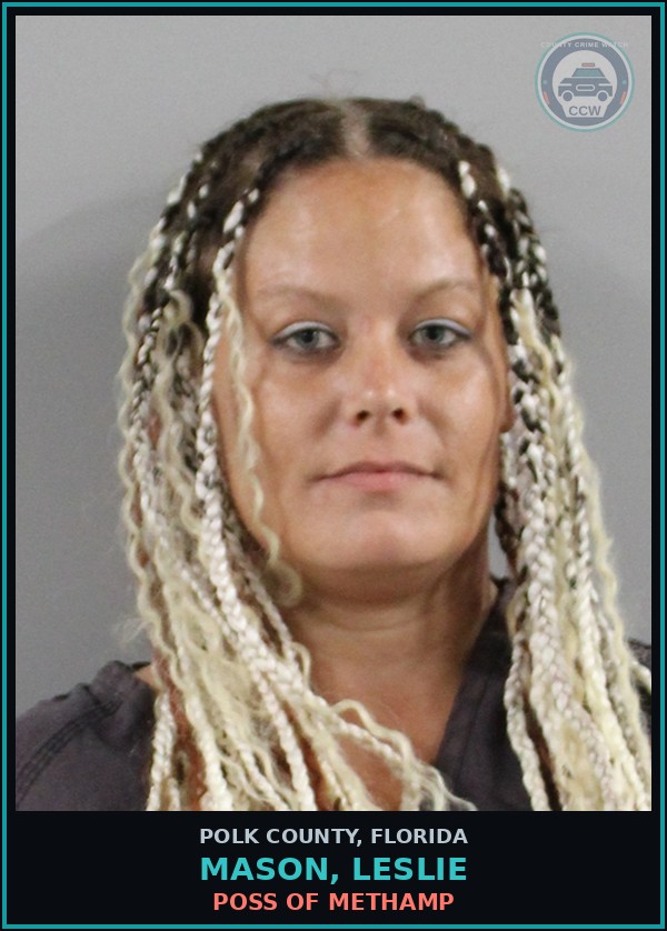 Booking mugshot of MASON, LESLIE in Polk County