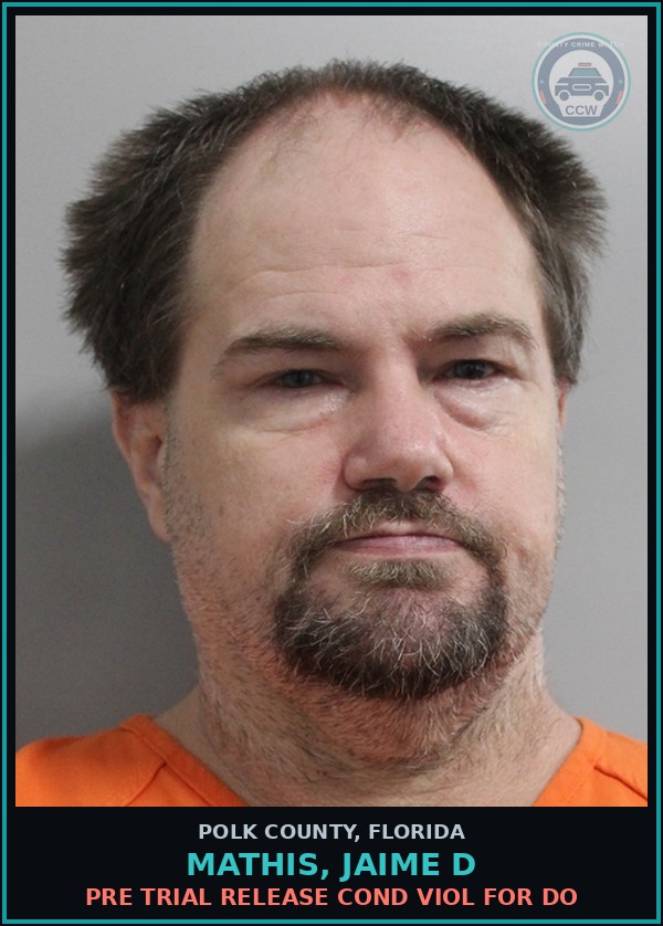 Booking mugshot of MATHIS, JAIME D in Polk County