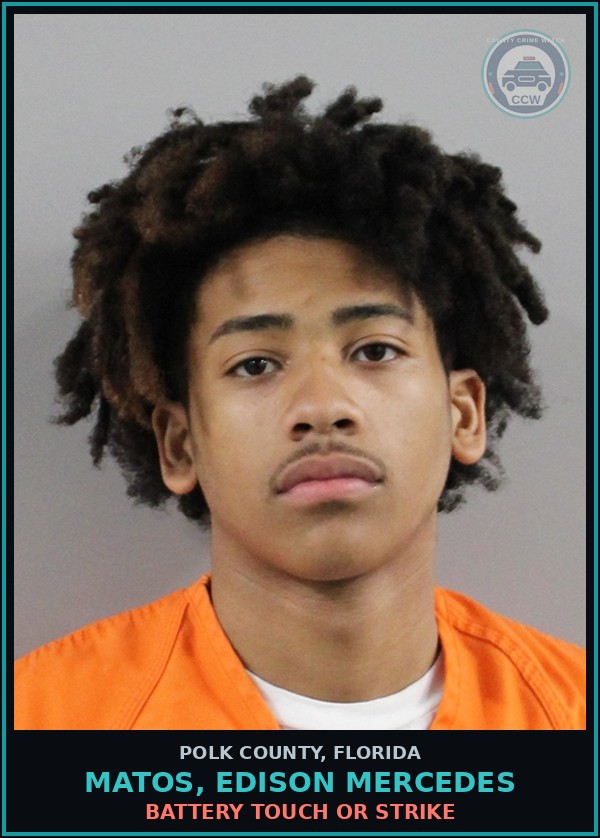 Booking mugshot of MATOS, EDISON MERCEDES in Polk County