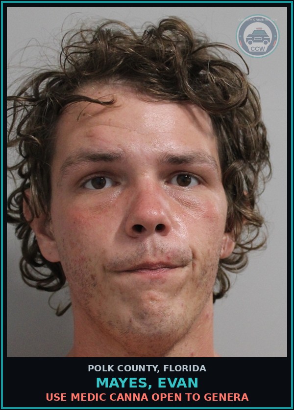 Booking mugshot of MAYES, EVAN in Polk County