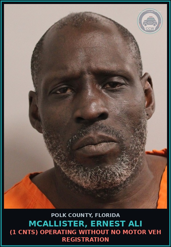Booking mugshot of MCALLISTER, ERNEST ALI in Polk County