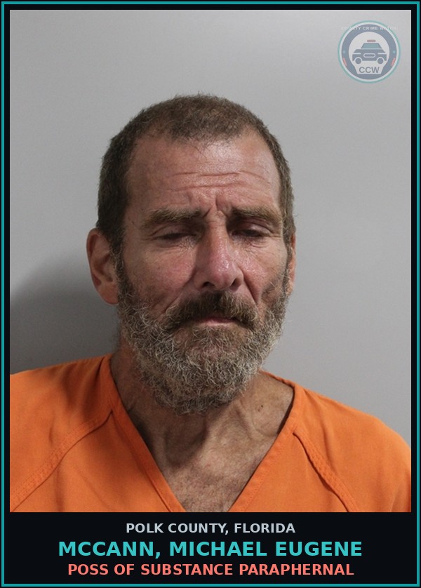 Booking mugshot of MCCANN, MICHAEL EUGENE in Polk County