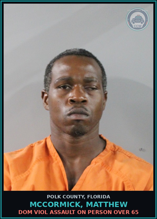Booking mugshot of MCCORMICK, MATTHEW in Polk County