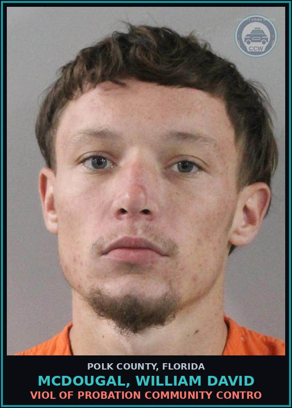 Booking mugshot of MCDOUGAL, WILLIAM DAVID in Polk County