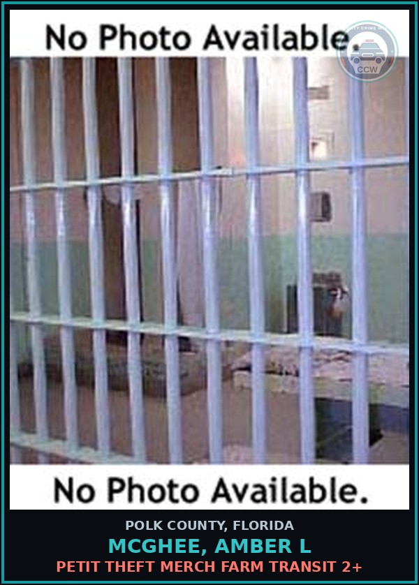 Booking mugshot of MCGHEE, AMBER L in Polk County