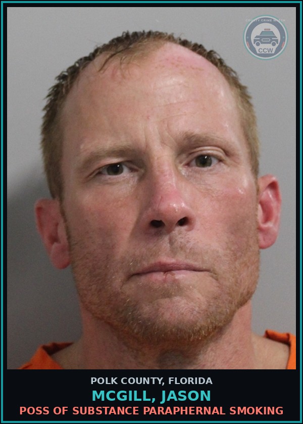 Booking mugshot of MCGILL, JASON in Polk County