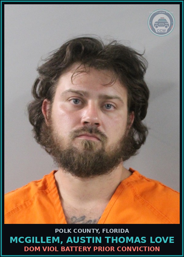 Booking mugshot of MCGILLEM, AUSTIN THOMAS LOVE in Polk County