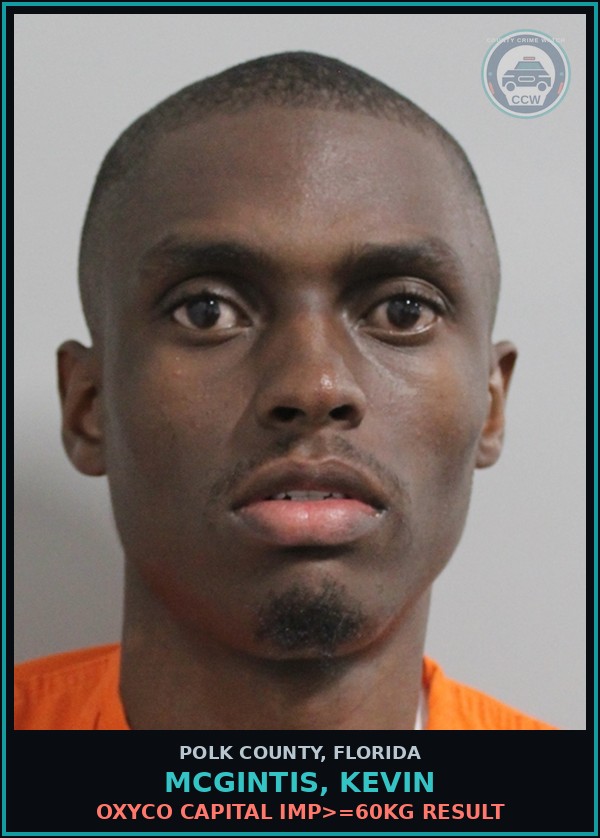Booking mugshot of MCGINTIS, KEVIN in Polk County