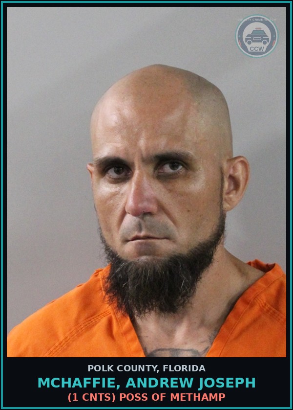 Booking mugshot of MCHAFFIE, ANDREW JOSEPH in Polk County