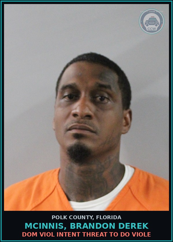 Booking mugshot of MCINNIS, BRANDON DEREK in Polk County
