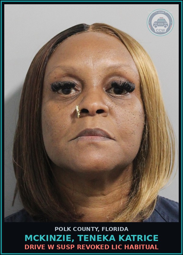 Booking mugshot of MCKINZIE, TENEKA KATRICE in Polk County