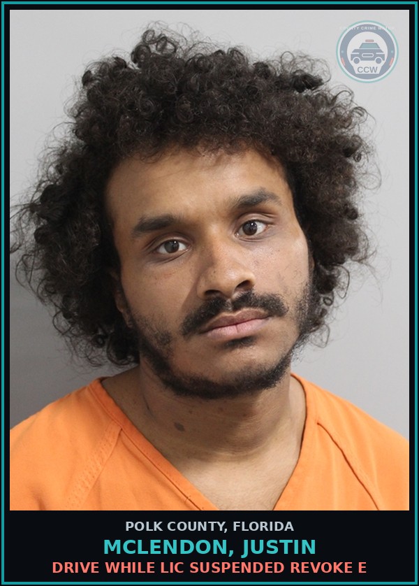 Booking mugshot of MCLENDON, JUSTIN in Polk County