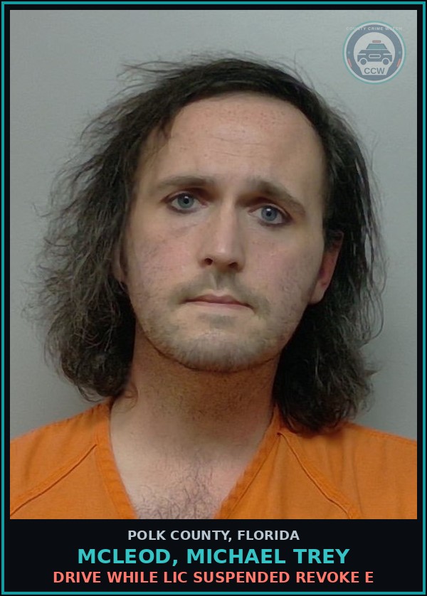 Booking mugshot of MCLEOD, MICHAEL TREY in Polk County