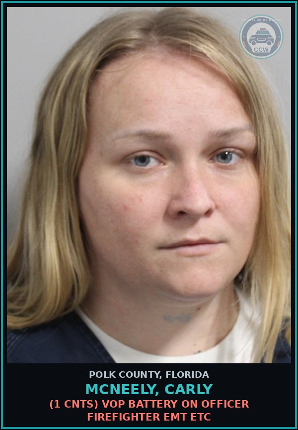 Booking mugshot of MCNEELY, CARLY in Polk County