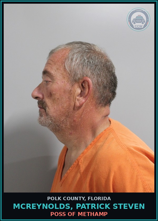 Booking mugshot of MCREYNOLDS, PATRICK STEVEN in Polk County