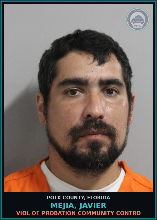 Booking mugshot of MEJIA, JAVIER in Polk County