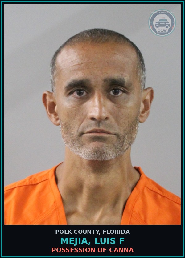 Booking mugshot of MEJIA, LUIS F in Polk County