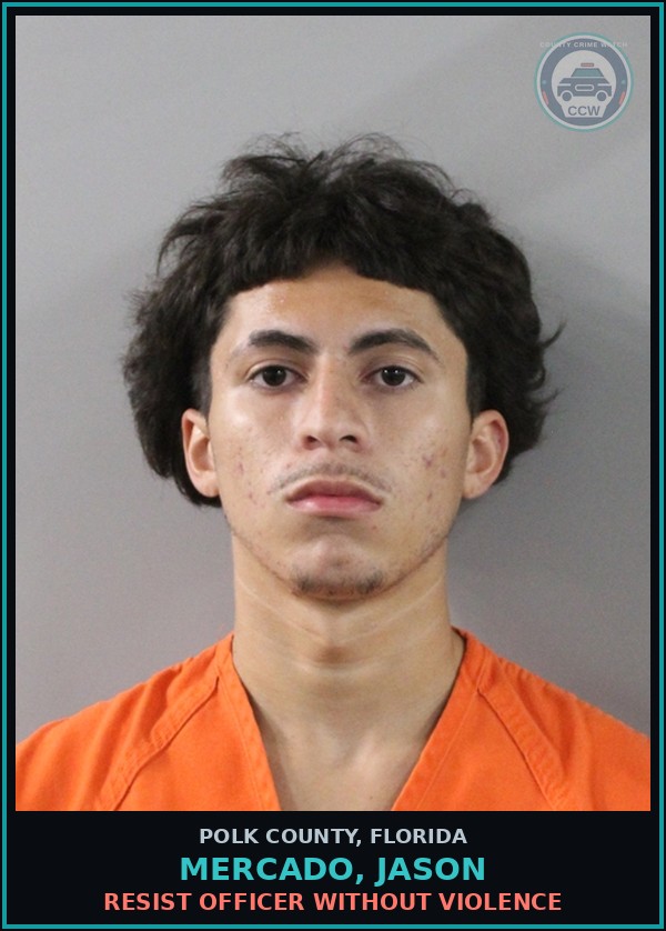 Booking mugshot of MERCADO, JASON in Polk County