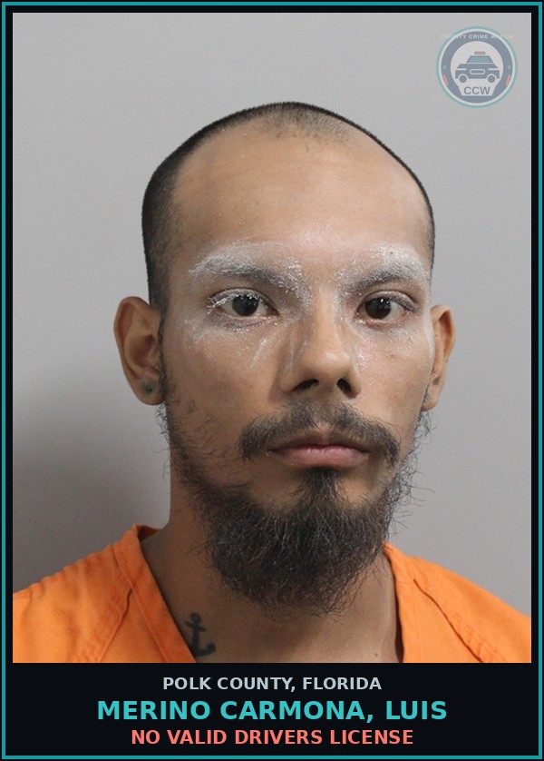 Booking mugshot of MERINO CARMONA, LUIS in Polk County