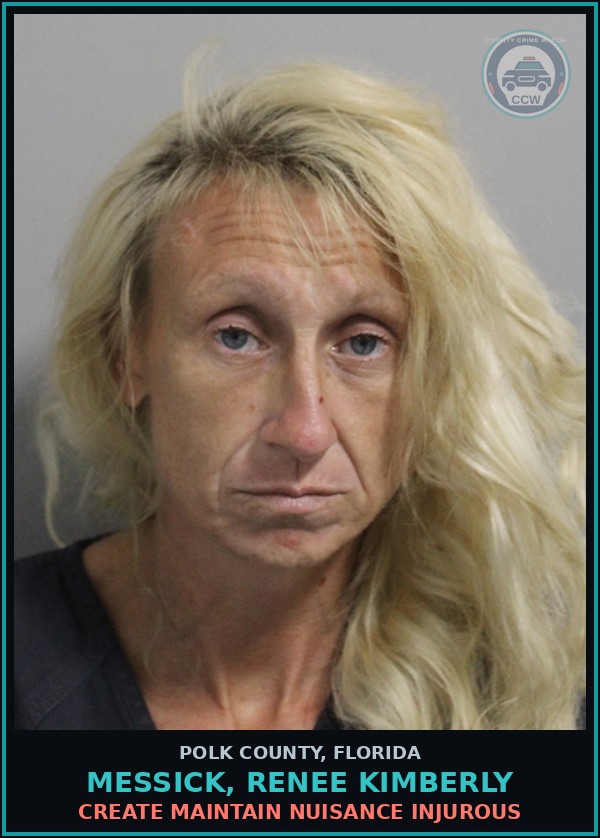 Booking mugshot of MESSICK, RENEE KIMBERLY in Polk County