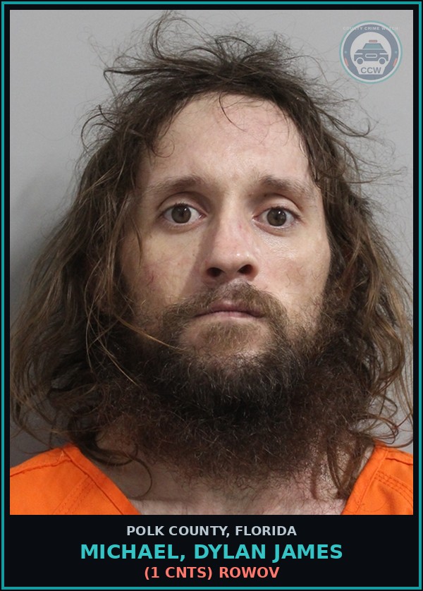Booking mugshot of MICHAEL, DYLAN JAMES in Polk County