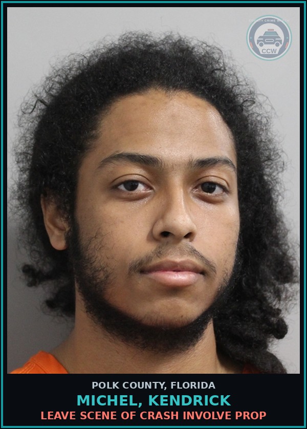 Booking mugshot of MICHEL, KENDRICK in Polk County