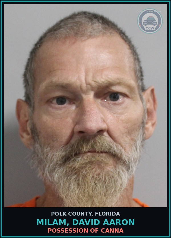 Booking mugshot of MILAM, DAVID AARON in Polk County