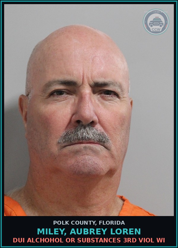 Booking mugshot of MILEY, AUBREY LOREN in Polk County