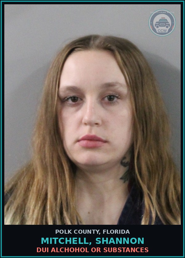 Booking mugshot of MITCHELL, SHANNON in Polk County