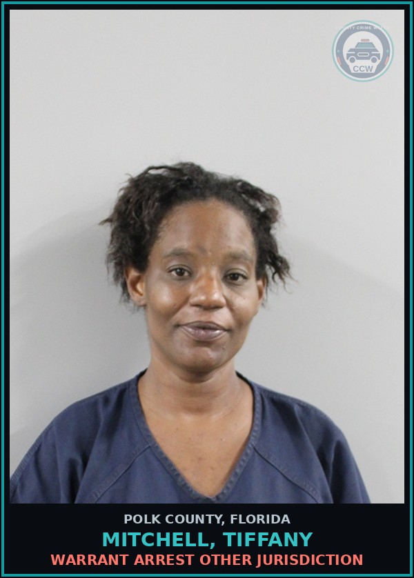Booking mugshot of MITCHELL, TIFFANY in Polk County