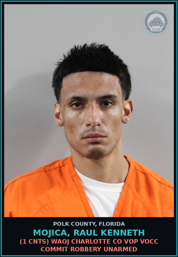 Booking mugshot of MOJICA, RAUL KENNETH in Polk County