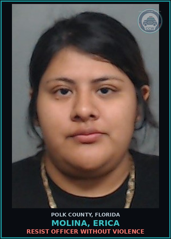 Booking mugshot of MOLINA, ERICA in Polk County
