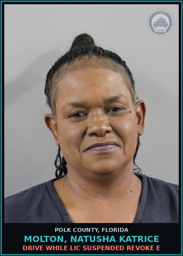 Booking mugshot of MOLTON, NATUSHA KATRICE in Polk County