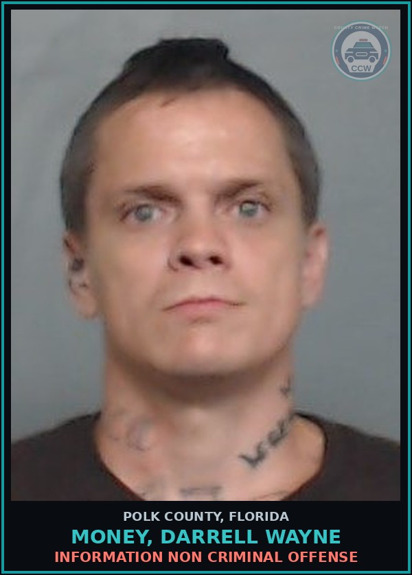 Booking mugshot of MONEY, DARRELL WAYNE in Polk County
