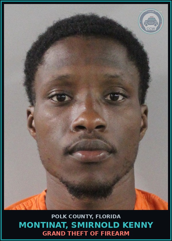 Booking mugshot of MONTINAT, SMIRNOLD KENNY in Polk County