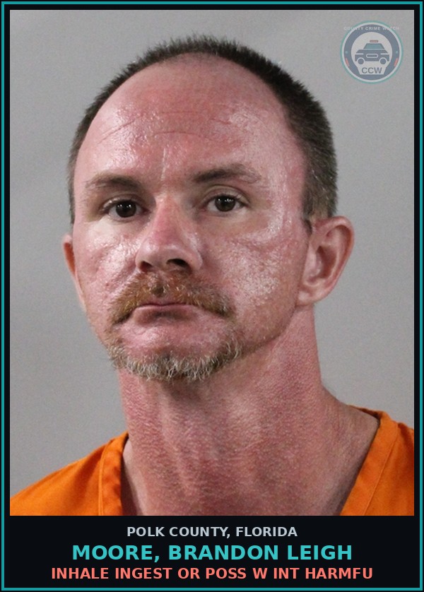 Booking mugshot of MOORE, BRANDON LEIGH in Polk County