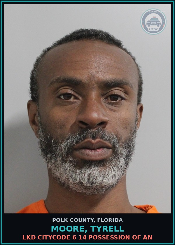 Booking mugshot of MOORE, TYRELL in Polk County